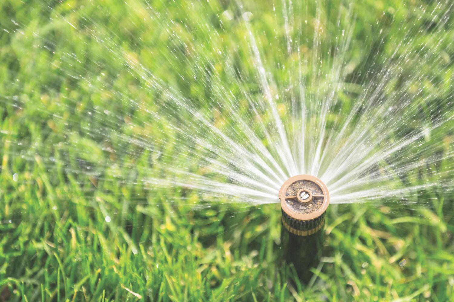The Bear Creek Water Association is advising customers to be aware of water usage due to the recent lack of rain and high temperatures. 